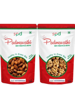 sri-padmavathi-dry-fruits-nuts-almonds-250gwalnuts-250g