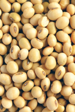 soya-beans