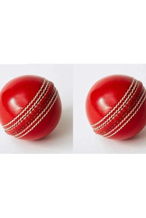 emmemm-pack-of-2-pcs-premium-leather-skull-cricket-ball-for-t-20-and-odis-mmen