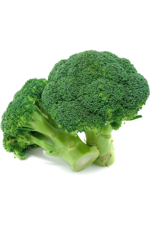 broccoli-500-gms