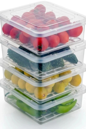 sharuja-freezer-storage-polyproplene-transparent-food-container-set-of-4-transparent