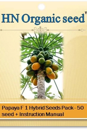 homeagro-fruit-seeds-papaya-papita-honey-dew-fruit-