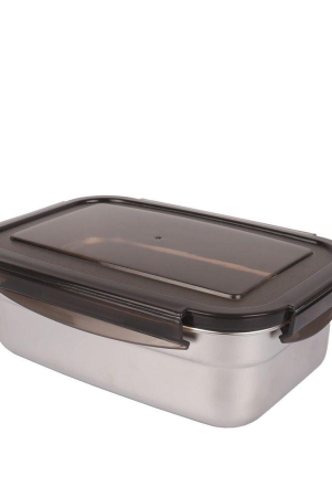 Femora Lunch Box High Steel Rectangle Container with Lock Lid Lunch Box Airtight Leakproof Unbreakable Storage Container for Office-College-School, 850 Ml/gm, Storage Container Silver