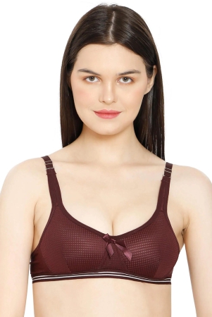 jackie-checks-padded-t-shirt-bra-maroon-34-b