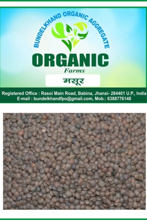 organic-masur-pulses