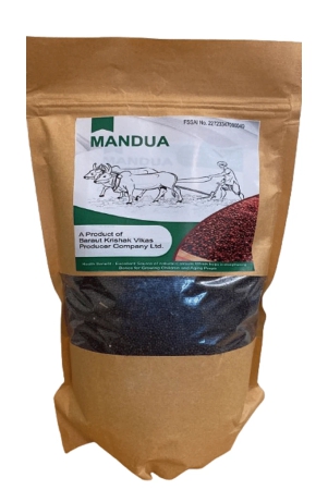 Mandua/ Ragi Seeds (1 Kg) / Finger Millet