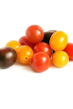 mix-cherry-tomato-250-gms