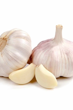 roots-and-tuber-garlic-1-kg