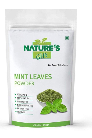 natures-gift-100-gm-mint-powder-pack-of-1