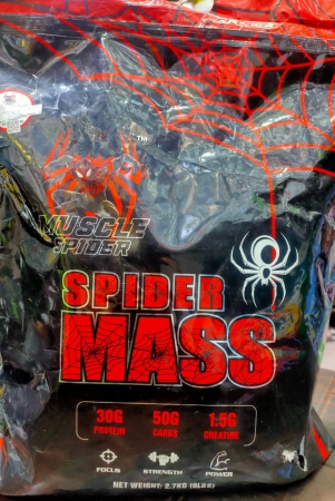 spider-mass-gainar-work-heavy-mass-gainar