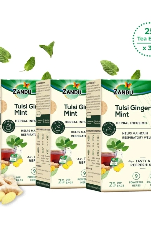 tulsi-ginger-mint-herbal-infusion-25-tea-bagspack-of-3