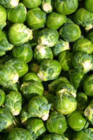 sprouts-brussel-500-gms