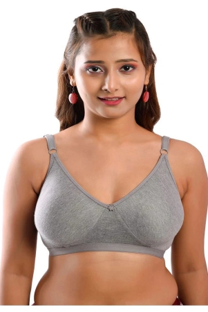 elina-cotton-t-shirt-bra-grey-single-32c