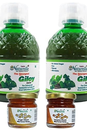 farm-naturelle-100-pure-herbal-giloy-juice-enhances-body-immunity-400ml-x-2-and-infused-honey-55g-x-2