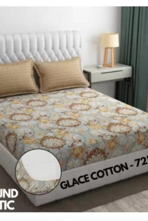 glace-cotton-all-around-elastic-fitted-bedsheet-with-2-pillow-covers-72x78