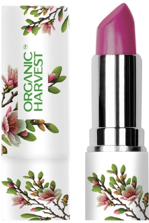 organic-harvest-wine-matte-lipstick-4