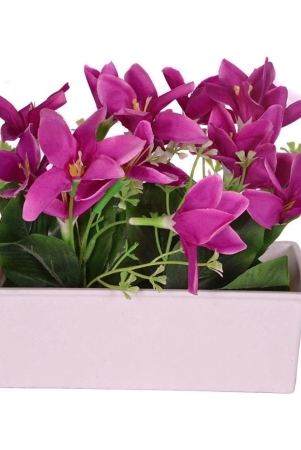 yutiriti-lily-purple-flowers-with-pot-pack-of-1