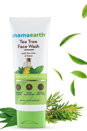 Mamaearth - Acne or Blemishes Removal Face Wash For All Skin Type ( Pack of 1 )