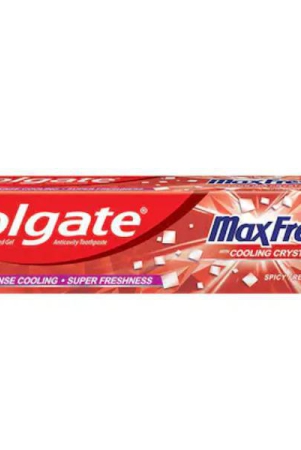 colgate-max-fresh-toothpaste-big-91-gms