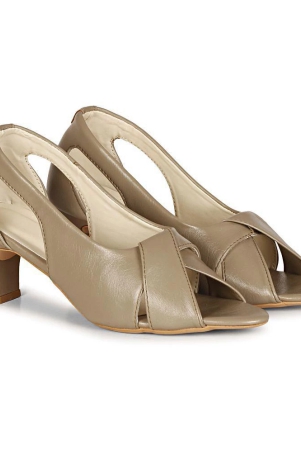 ishransh-camel-womens-sandal-heels-none