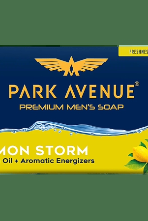 park-avenue-storm-soap-125-gm