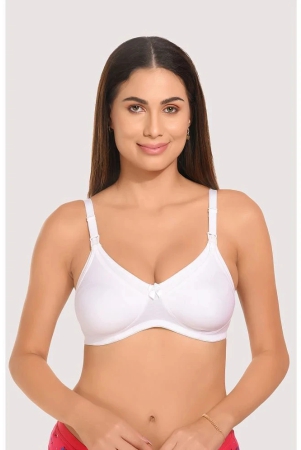 elina-pack-of-1-cotton-non-padded-womens-t-shirt-bra-white-none