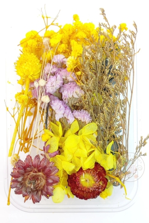 mix-style-natural-dry-flowers-26