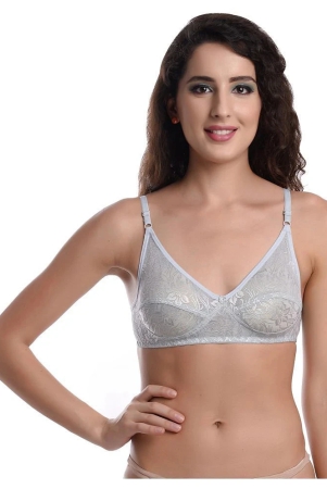 madam-netmesh-t-shirt-bra-grey-single-38b