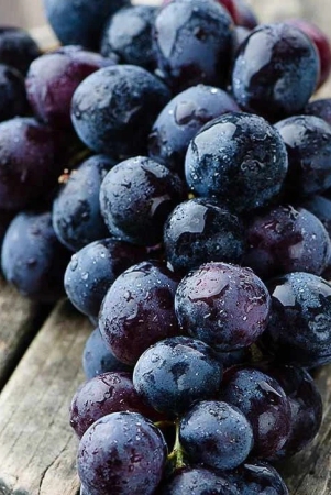 exotic-black-grapes-fruit-plants