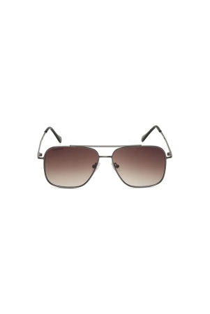 brown-navigator-rimmed-sunglasses-m253br4v