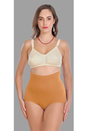 Madam - Beige Spandex Womens Shaper Brief ( Pack of 1 ) - None