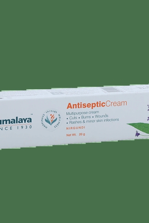 himalaya-wellness-antiseptic-cream-20-g