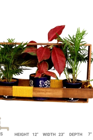 table-top-planter-wooden-frame