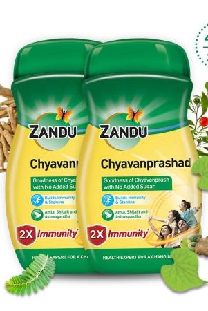 chyavanprashad-450gpack-of-2