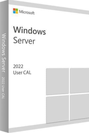 Windows Server Standard 2019 OEM Box (includes DVD)