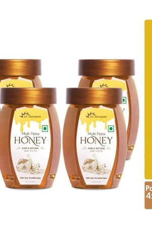 dr-morepen-multi-flora-honey-1-kg-pack-of-4