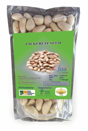 jack-fruit-seed