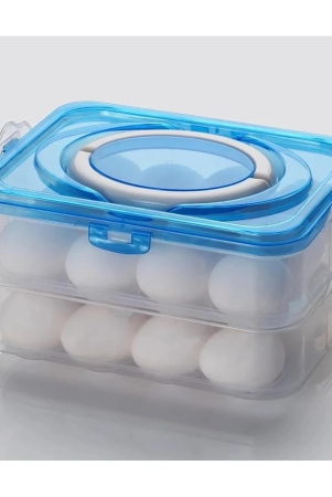 hometales-plastic-transparent-egg-container-set-of-1-transparent