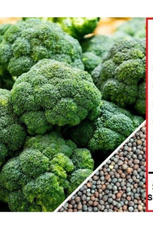 shivam-organic-seeds-broccoli-vegetable-50-seeds-