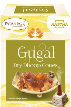 aastha-gugal-dhoop-20-n