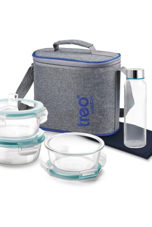 Treo by Milton All Fresh Premier Glass Tiffin Set of 5 (3 - Round Containers, 400 ml Each; 1 - Bottle, 250 ml; 1 - Tiffin Dinning Mat) With Jacket | Oven & Microwave Safe | Leak Proof | Offi