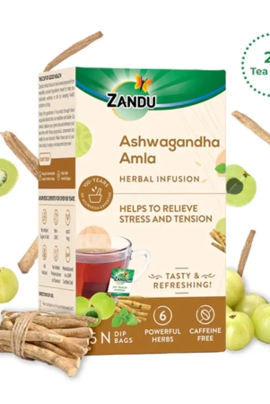 ashwagandha-amla-herbal-infusion-25-tea-bags