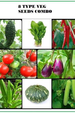 combo-of-8-different-type-vegetable-plant-seeds-pack-more-than-150-seeds-pack-with-user-manual-for-home-gardenung-use