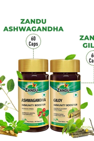 ashwagandha-60-caps-giloy-combo-60-caps