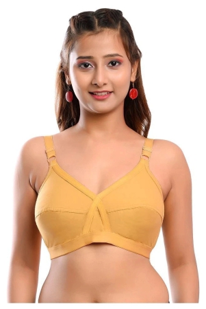 elina-cotton-everyday-bra-beige-single-44c