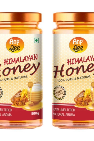 anp-bee-honey-raw-himalayan-honey-500-g-pack-of-2