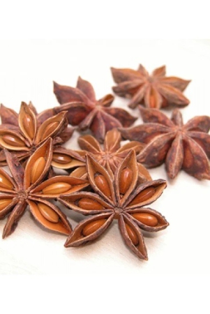 star-anise-anasa-puvvu