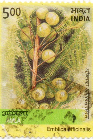 india-amla-used-postage-stamp