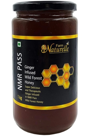 farm-naturelle-raw-100-natural-nmr-tested-pass-certified-super-delicious-and-therapeutic-ginger-infused-in-wild-forest-honey-1-kg-glass-bottle