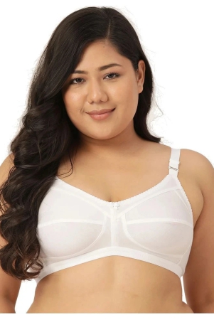 leading-lady-cotton-t-shirt-bra-white-single-48b